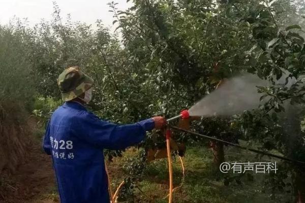 果园中禁用的除草剂有哪些？不同果树间禁止交叉使用同一种除草剂