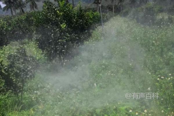 果园中禁用的除草剂有哪些？不同果树间禁止交叉使用同一种除草剂