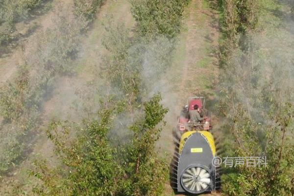 果园中禁用的除草剂有哪些？不同果树间禁止交叉使用同一种除草剂