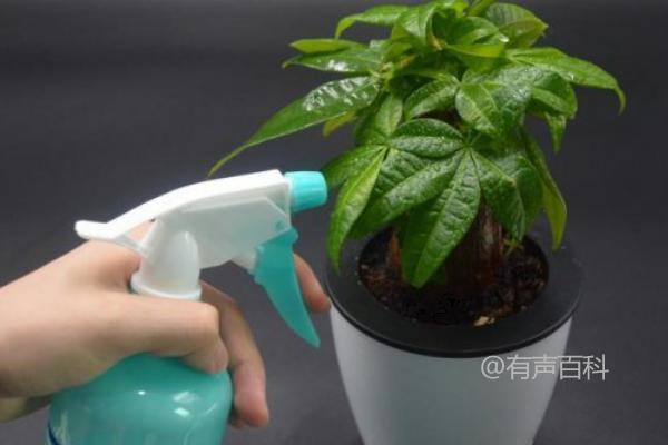 "小苏打对植物浇水适合吗？使用时需要注意控制用量"