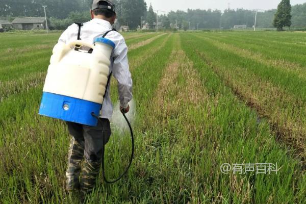 除草剂的使用技巧及选择性杂草治理