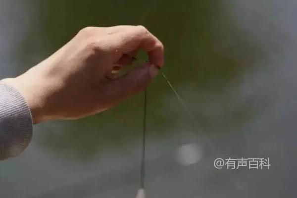 垂钓技巧：如何正确观察鱼漂并提竿，注意鱼漂缓缓上升时可适当等待数秒再提竿