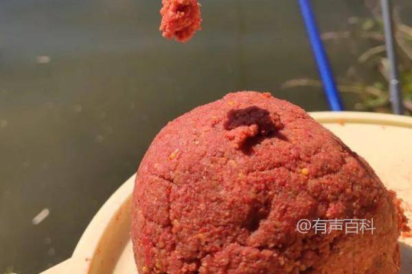 钓青鱼适合使用的饵料：螺狮、菜籽饼等谷物类饵料