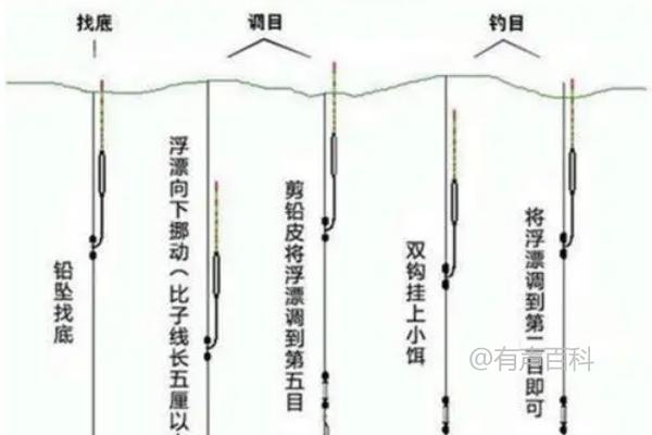 钓青鱼适合使用的饵料：螺狮、菜籽饼等谷物类饵料