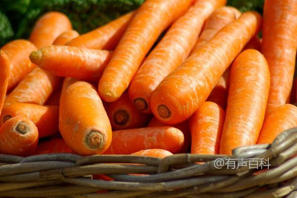 你想了解的是胡萝卜的最佳收获时间吗？是否需要包括不同播种季节的收获时间？