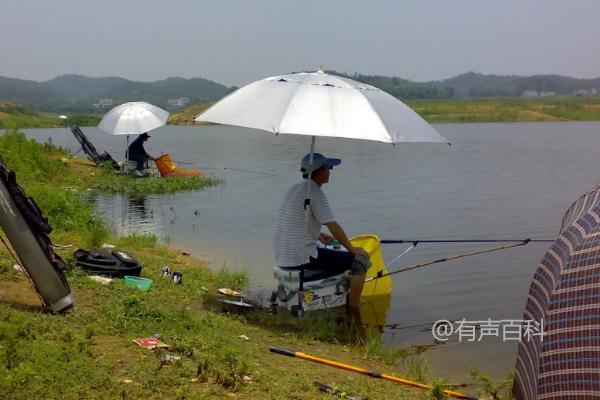 喜欢吃什么鱼饵的桂鱼