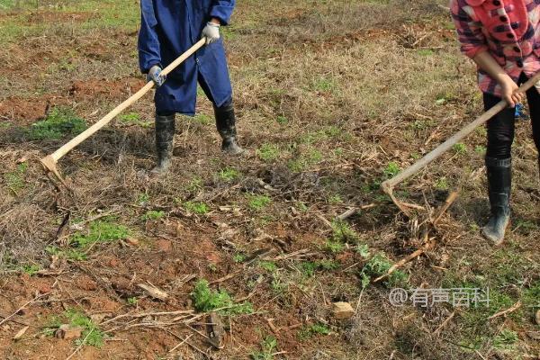 在进行SEO标题优化时，将原始标题“如何人工整地起垄”调整为更符合百度SEO规范的格式可能是这样的：“人工整地起垄的方法与步骤详解”。这样的标题更具吸引力，因为它清晰地表明了文章内容，同时包含了关键词“人工整地起垄”的核心信息。