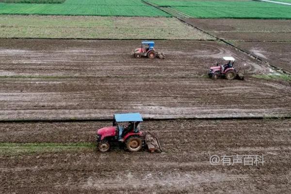 在进行SEO标题优化时，将原始标题“如何人工整地起垄”调整为更符合百度SEO规范的格式可能是这样的：“人工整地起垄的方法与步骤详解”。这样的标题更具吸引力，因为它清晰地表明了文章内容，同时包含了关键词“人工整地起垄”的核心信息。