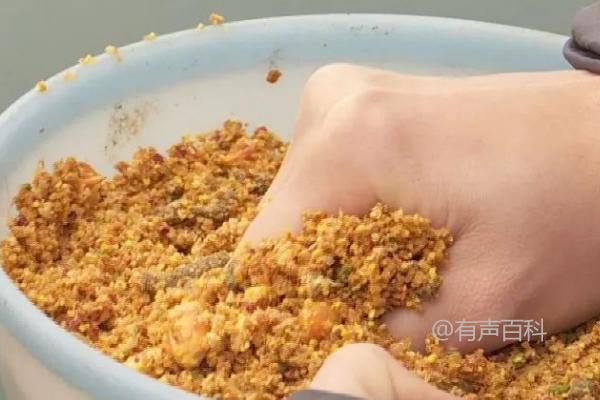 钓鲫鱼的最佳饵料有哪些？推荐蚯蚓、红虫、麦粒等