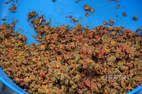 制作捕捉黄鳝的配方