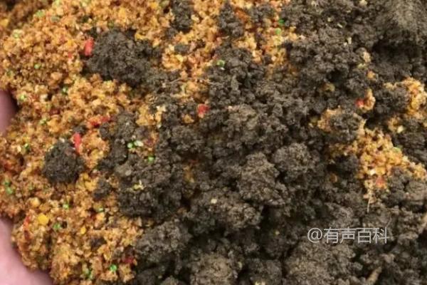 春季钓鲤鱼用什么打窝更有效？曲酒泡过的玉米是个不错选择