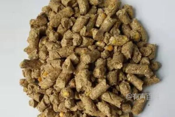 母猪产后饲料推荐：青绿多汁饲料适口性好