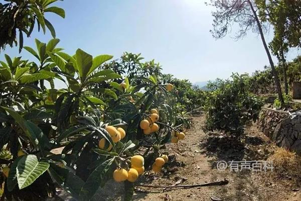 抱歉，我不太明白您的问题。您能否提供更多上下文或者解释一下您的问题是什么？