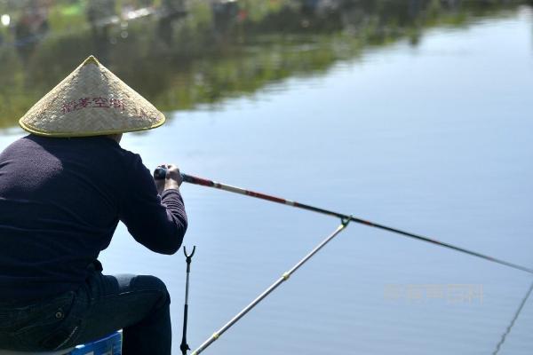 夏季钓鲢鳙技巧，高温环境下钓鱼好