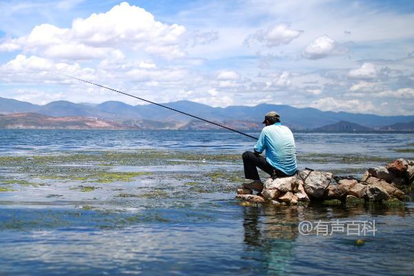 冬天鱼在水下活动的深度至少达到3米