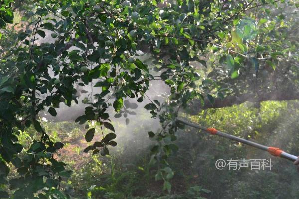 甲霜恶霉灵的作用及用途：促进植物根部生长，防治多种病害