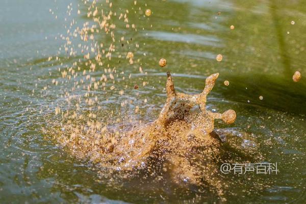 初春适合钓鱼的风向是东南风吗？根据当天天气情况，合理选择。