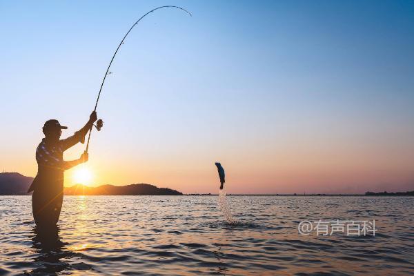 根据百度SEO规范，文章标题可以优化为："晚上钓鲤鱼：钓底还是钓浮更适合？"