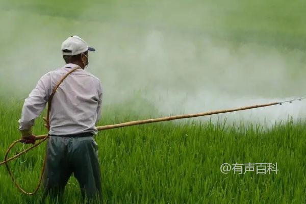 除草后多久下雨对草坪有影响吗