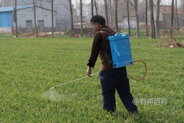 除草后多久下雨对草坪有影响吗