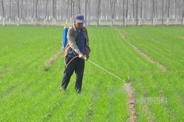 除草后多久下雨对草坪有影响吗