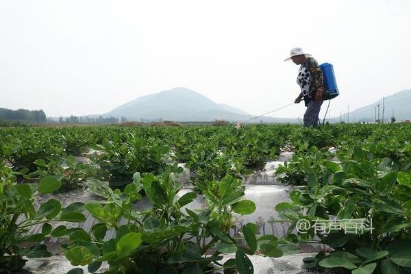 "甲维盐虫螨腈的主要作用是杀灭哪些虫类？"