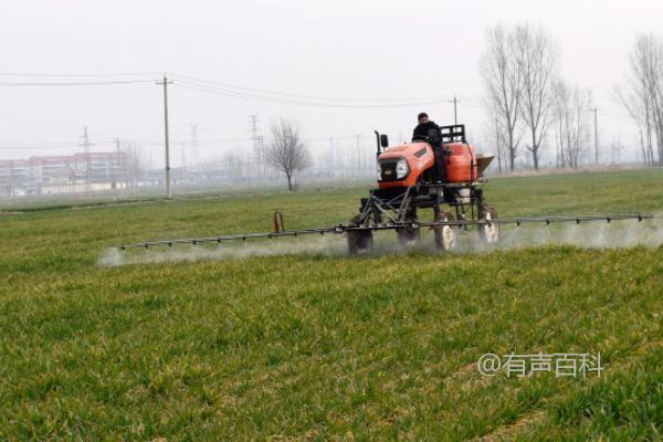 如何有效防治小麦田的病虫草害，关注害虫发生动态、科学喷洒药剂