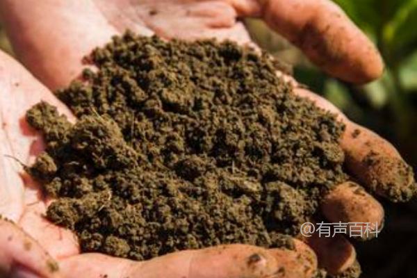 微生物肥与化肥的特点及互补关系