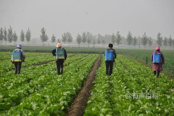 不能喷洒白醋水的蔬菜有哪些