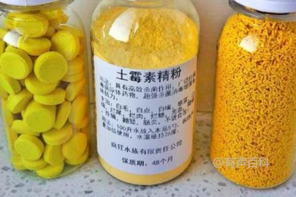 鱼缸中土霉素的使用量应根据疾病类型确定