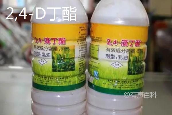 大豆封闭除草剂的种类及使用技巧