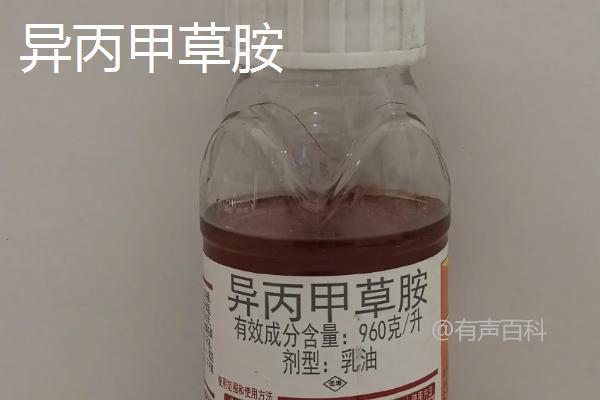 大豆封闭除草剂的种类及使用技巧