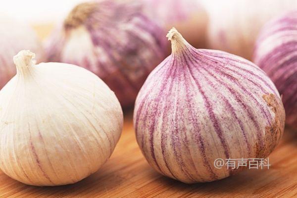 北方紫皮大蒜种植时间：最佳时机为每年10月下旬至11月上旬