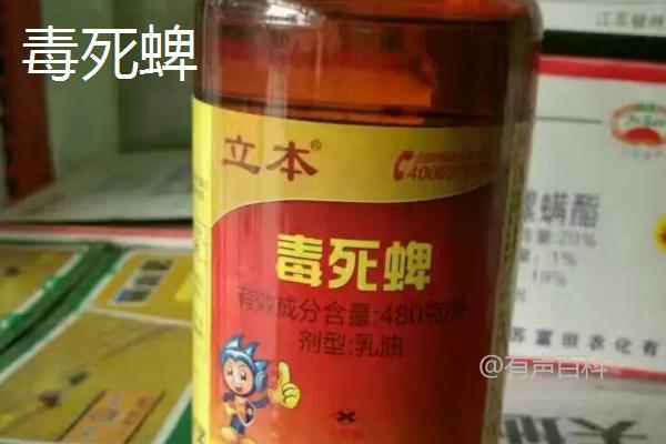 水稻常用的杀虫剂有哪些？