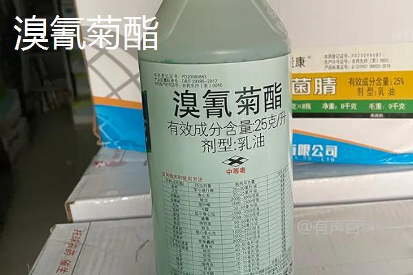 水稻常用的杀虫剂有哪些？