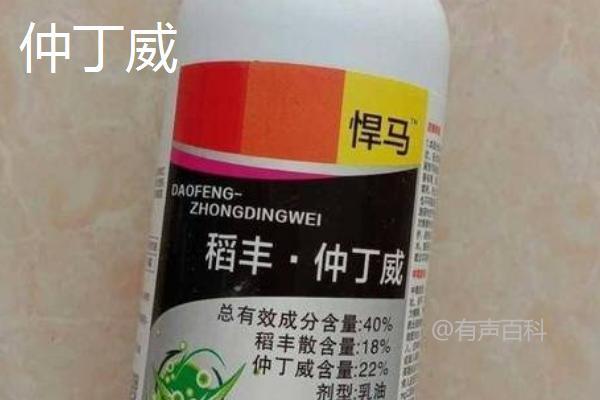 水稻常用的杀虫剂有哪些？