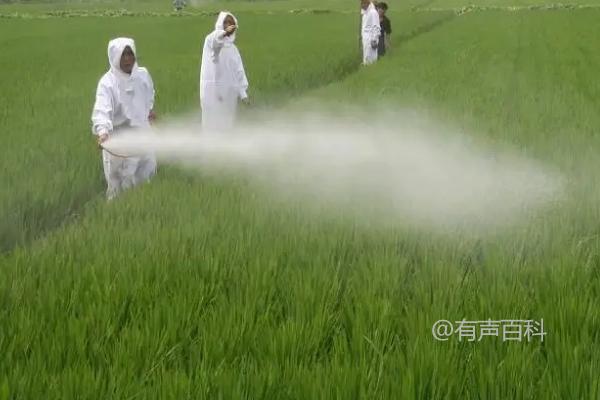 阿维菌素灌根的正确使用方法