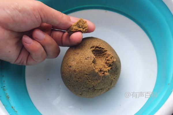 经验分享：黄鳝笼里是否需要活蚯蚓