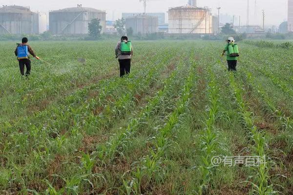 莠草除草剂详细使用说明书