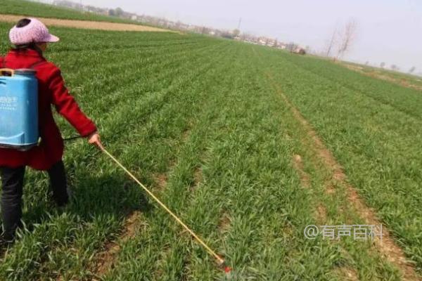 小麦除草剂的最佳施用时间是什么？