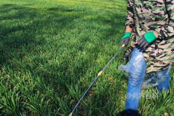 小麦除草剂的最佳施用时间是什么？