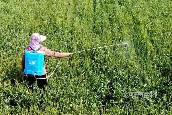 噻虫嗪的防治对象及效果：防治蚜虫、飞虱、叶蝉和粉虱效果显著