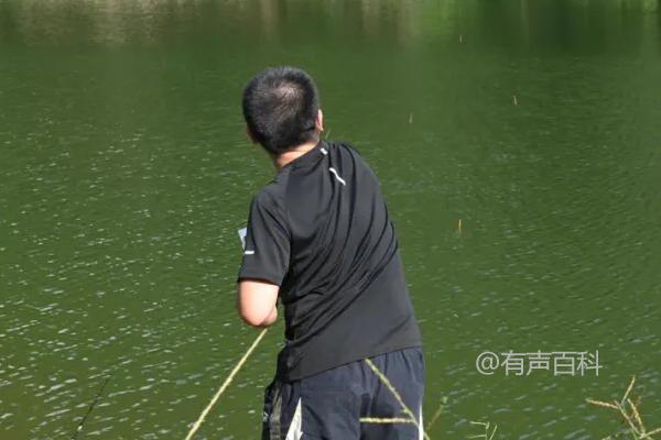 夏季钓鱼的最佳时间，早上7-9点是个不错的选择