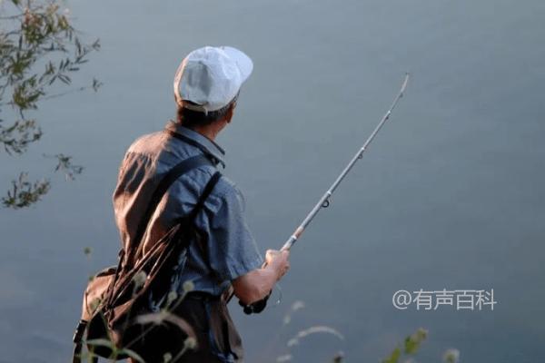 夏季钓鱼的最佳时间，早上7-9点是个不错的选择