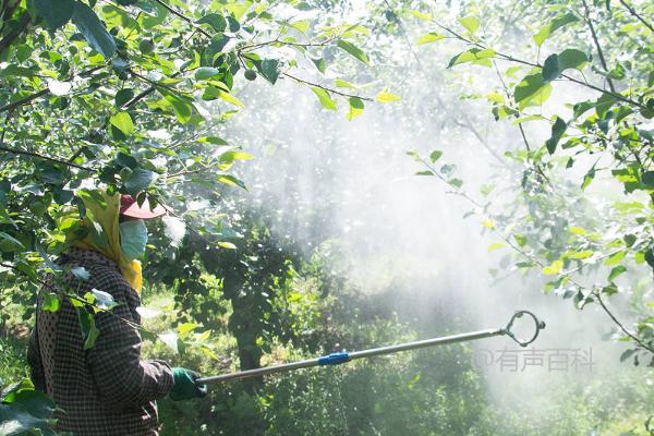 苹果花腐病防治方法：农业防治与药剂防治措施