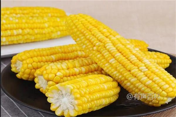 玉米煮40分钟的烹饪效果与营养价值的关系