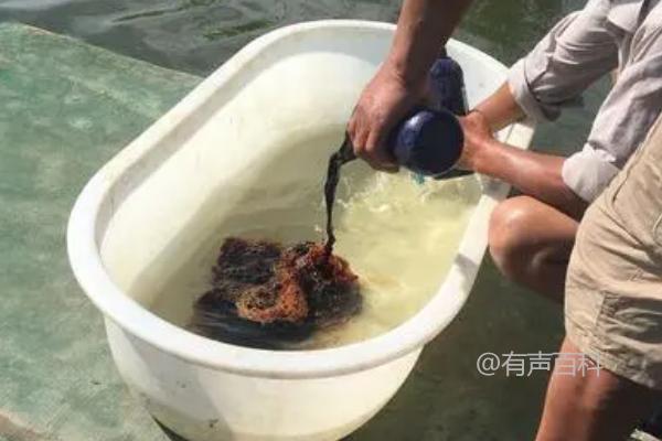 黄鳝喜欢栖息在深水区还是浅水区？