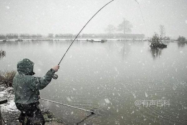 下雪天垂钓技巧：如何在底部找到聚集的鱼群