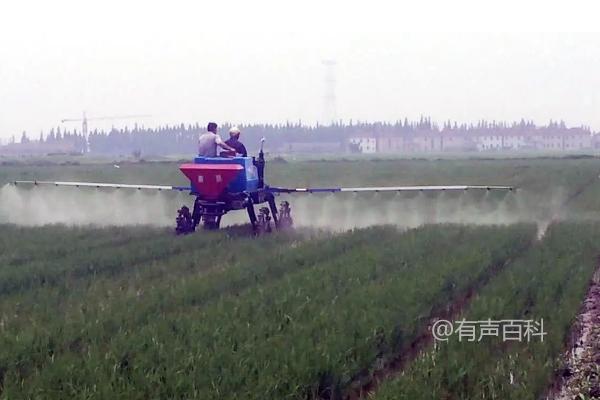 阿维菌素对红蜘蛛的防治效果如何