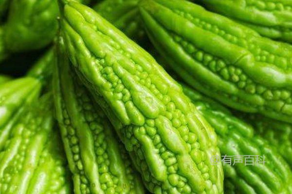 南方苦瓜种植时间：最佳种植时间是什么时候？